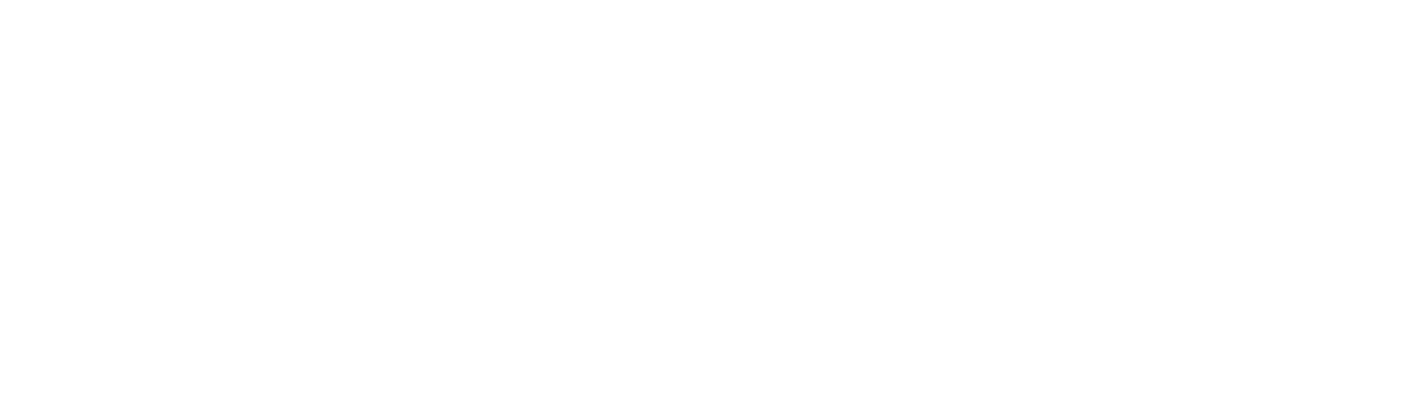 ReMax_logo_PNG white
