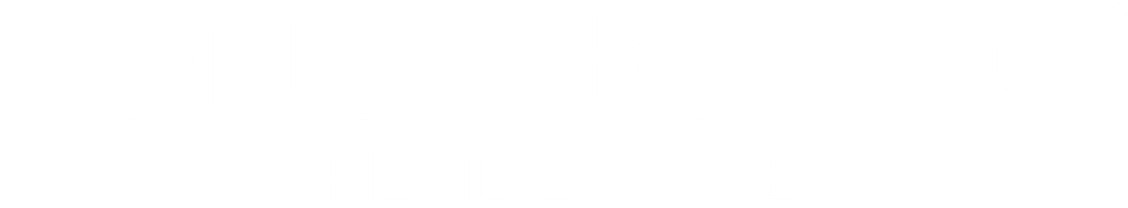 long and foster logo white